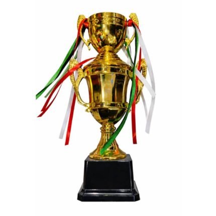Golden Award Cup